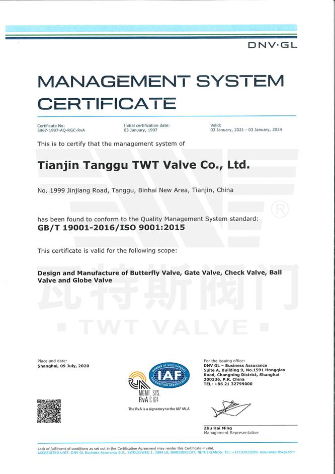 ISO-19001：2015質(zhì)量體系認證英文